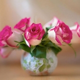 Šta dodati u vodu da bi ruže duže trajale